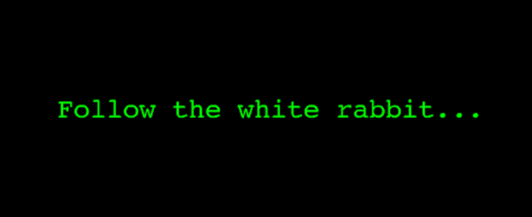 Follow_The_White_Rabbit